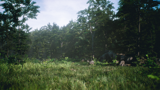 3D Realistic Nature Assets